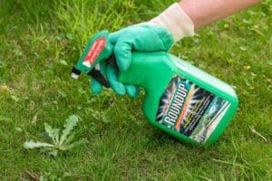 Glyphosate