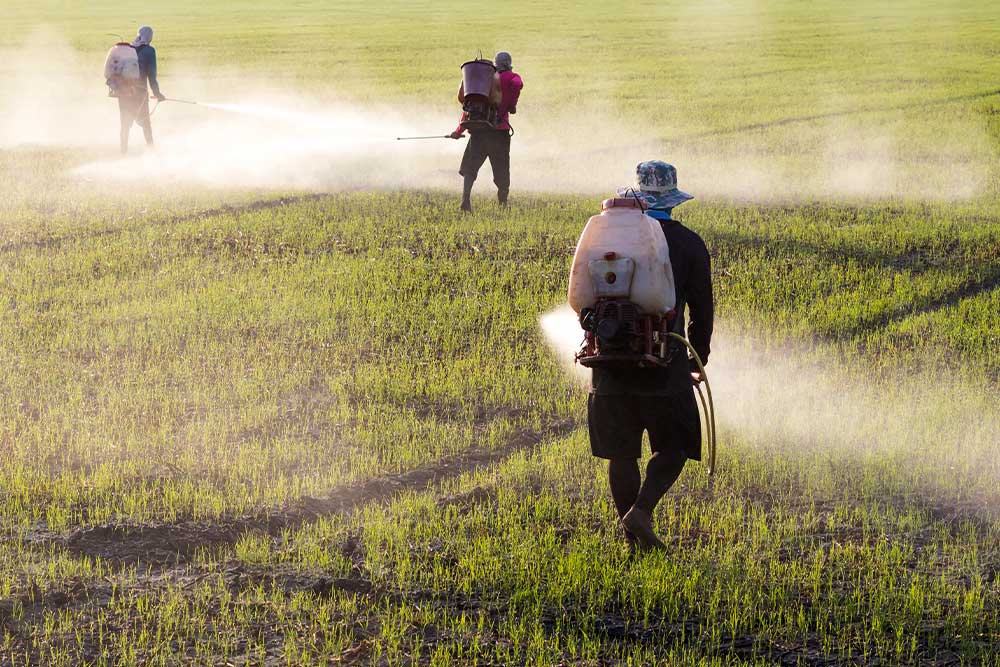 Paraquat Herbicide Lawsuits