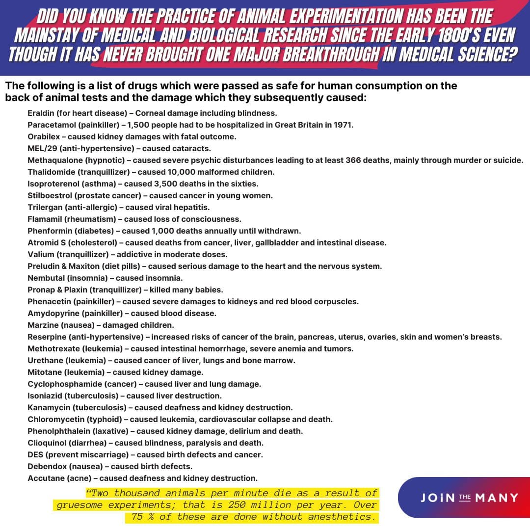 The Practice of Animal Testing