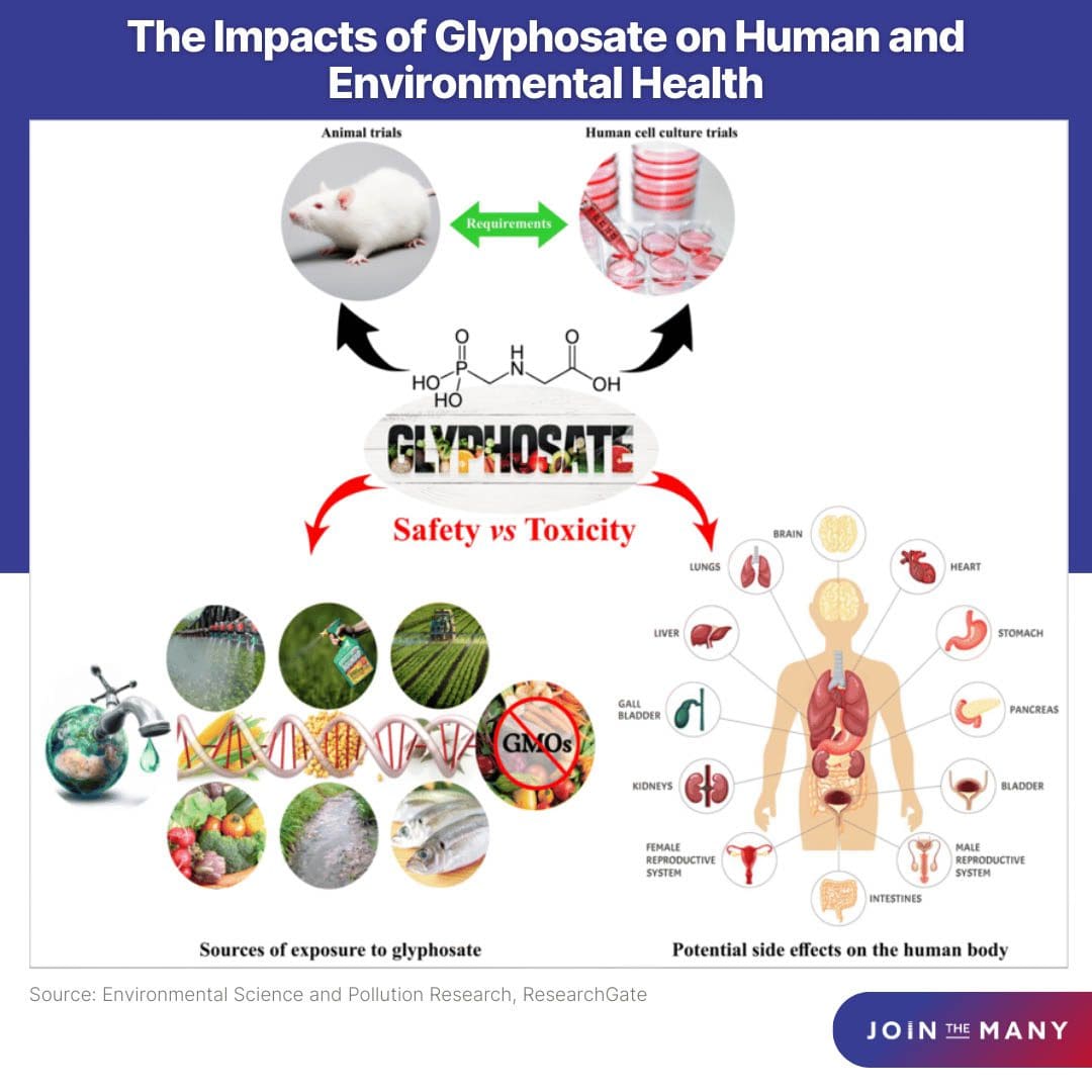 Impacts of Glyphosate - Safety vs Toxicity Info