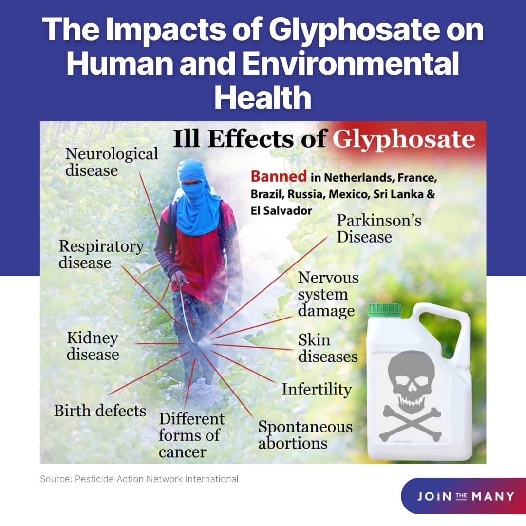 Brutal Truths Visual of Impacts on Human and Environment