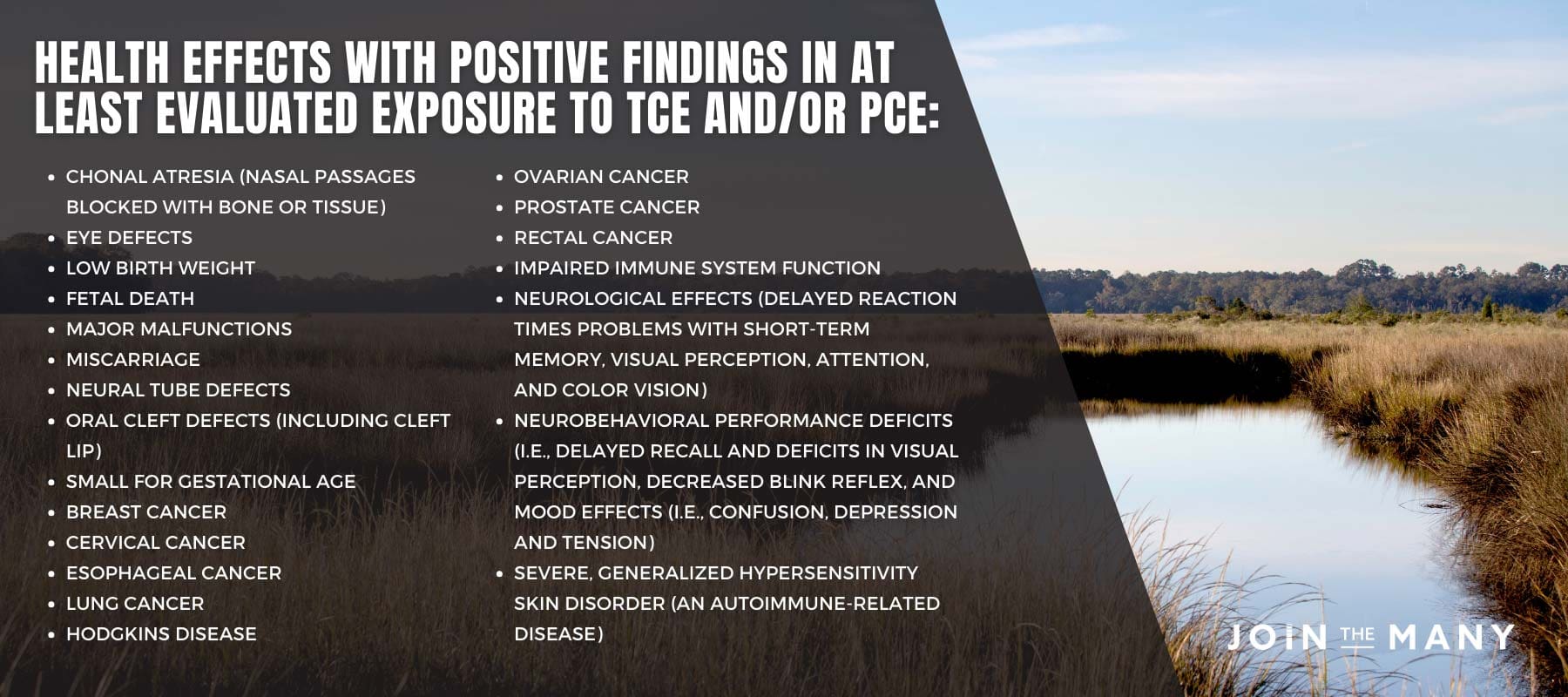 Health Effects with Positive Findings