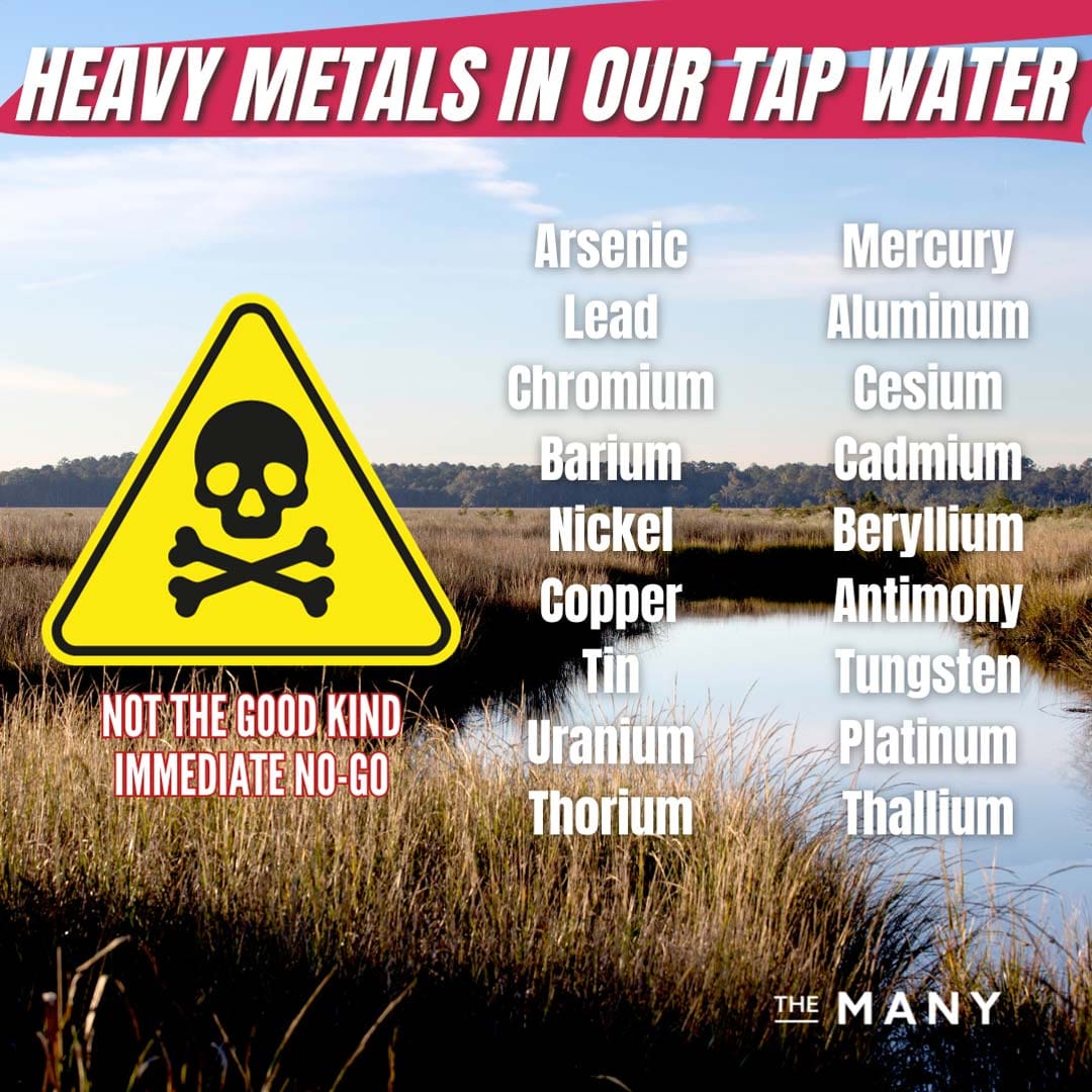 Heavy Metals in Our Tap Water
