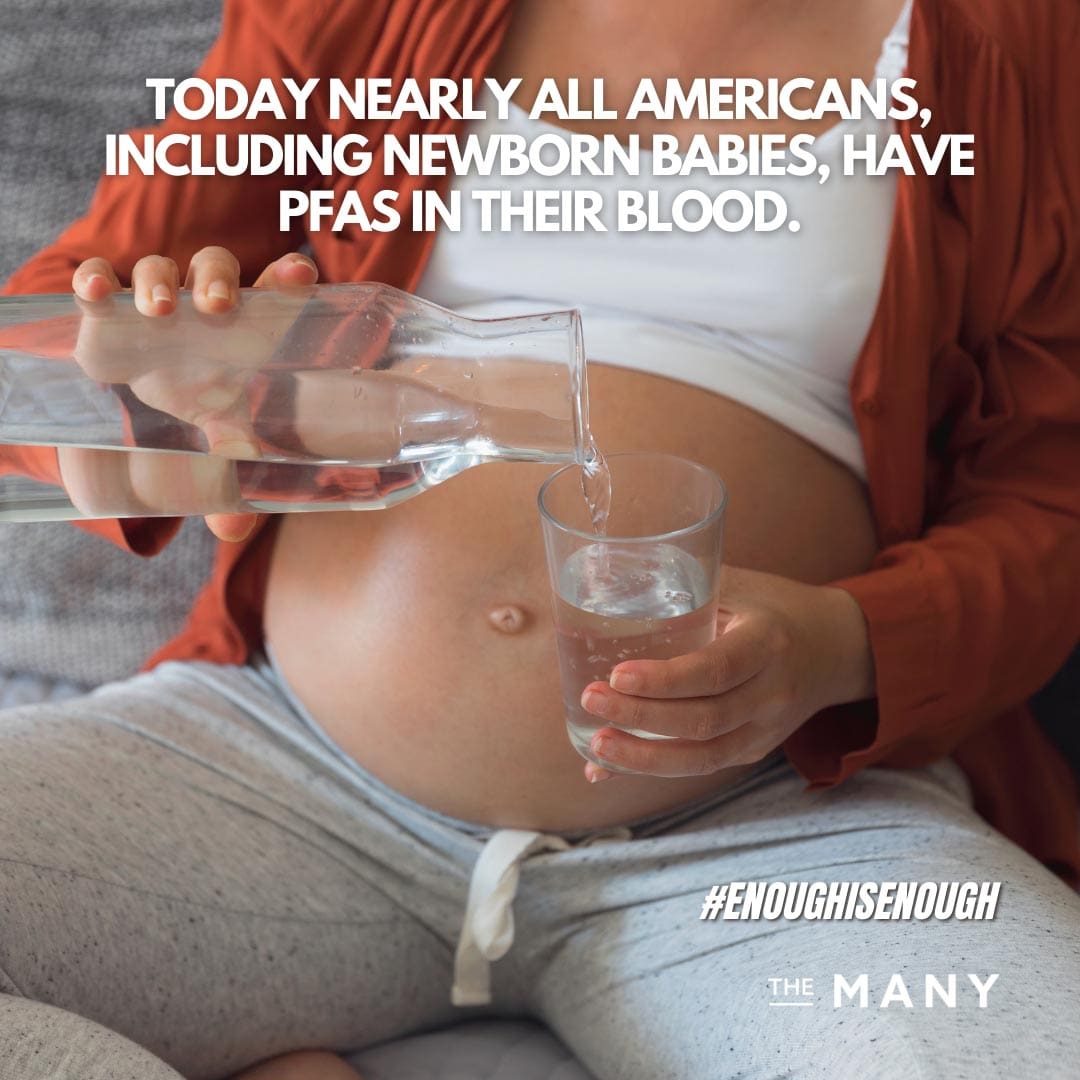 PFAS In Blood_Newborn Babies and Americans